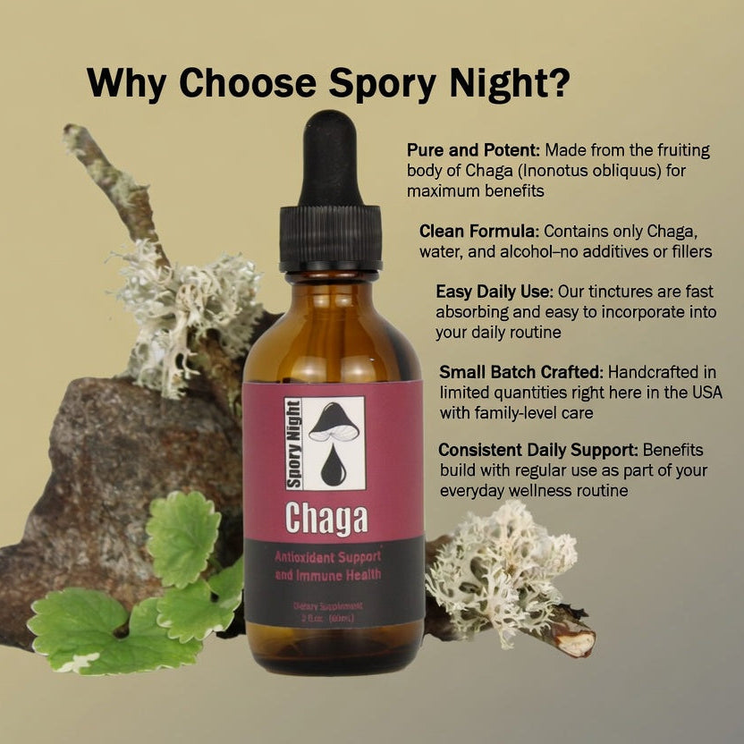 Chaga Tincture (2fl.oz.)