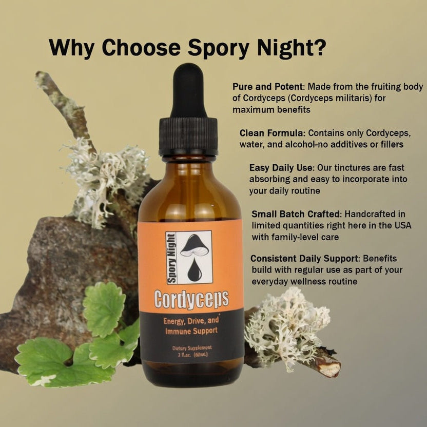 Cordyceps Tincture (2fl.oz.)