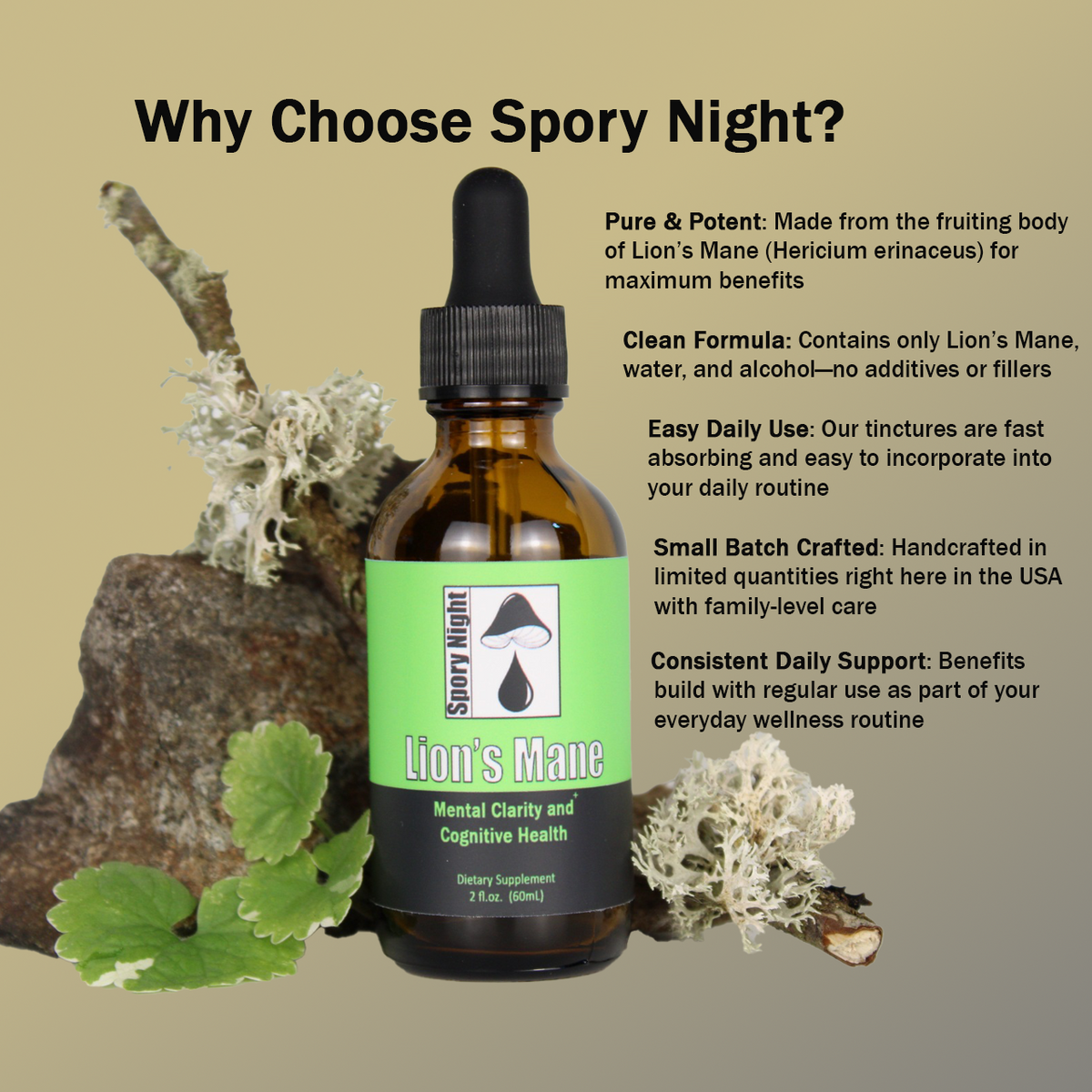 Lion's Mane Tincture (2fl.oz.)