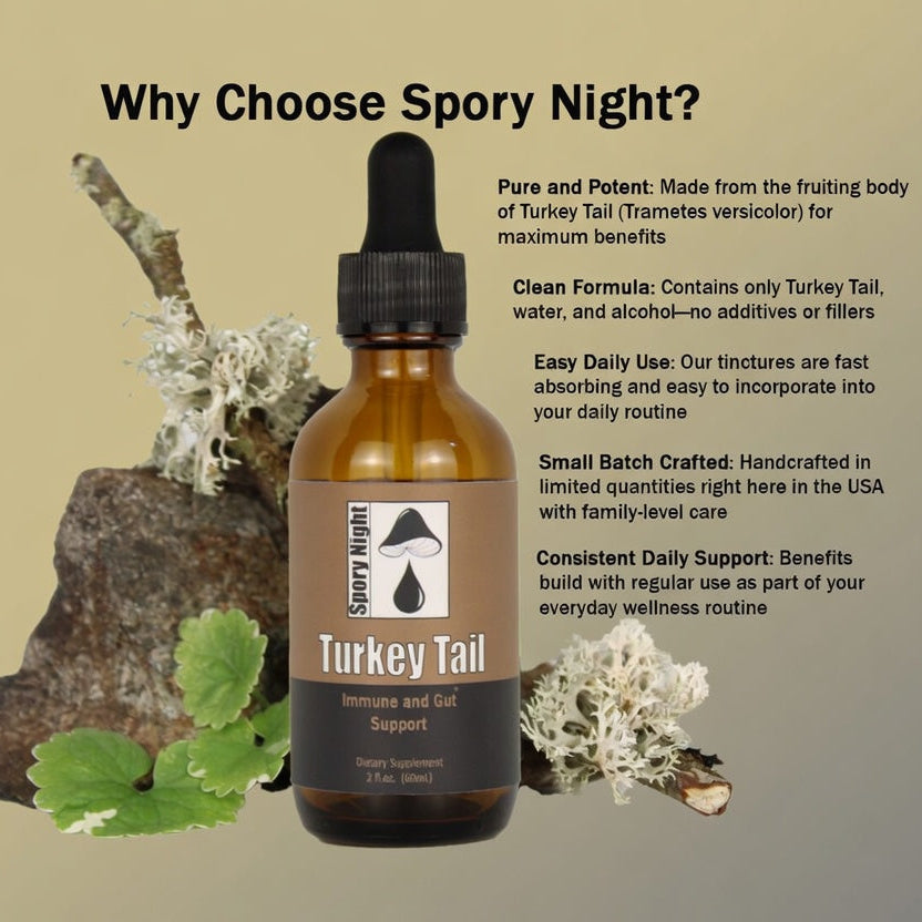 Turkey Tail Tincture (2fl.oz.)